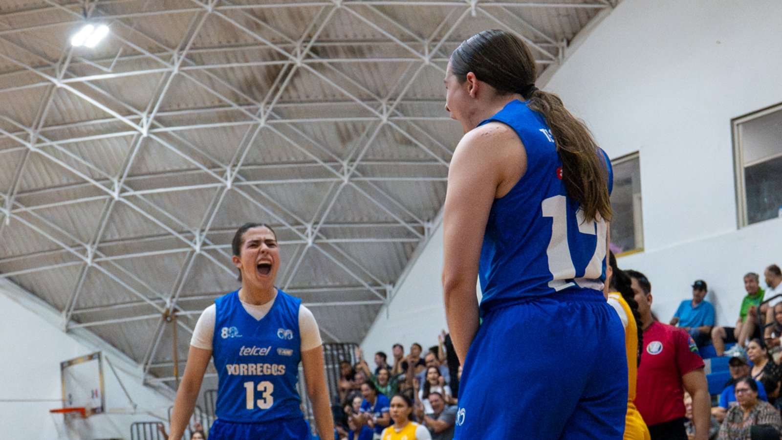 Tec Monterrey (Liga ABE)